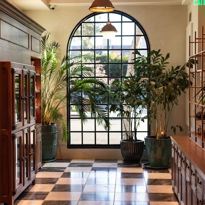 goodroots interior landscaping client, pleasuremed