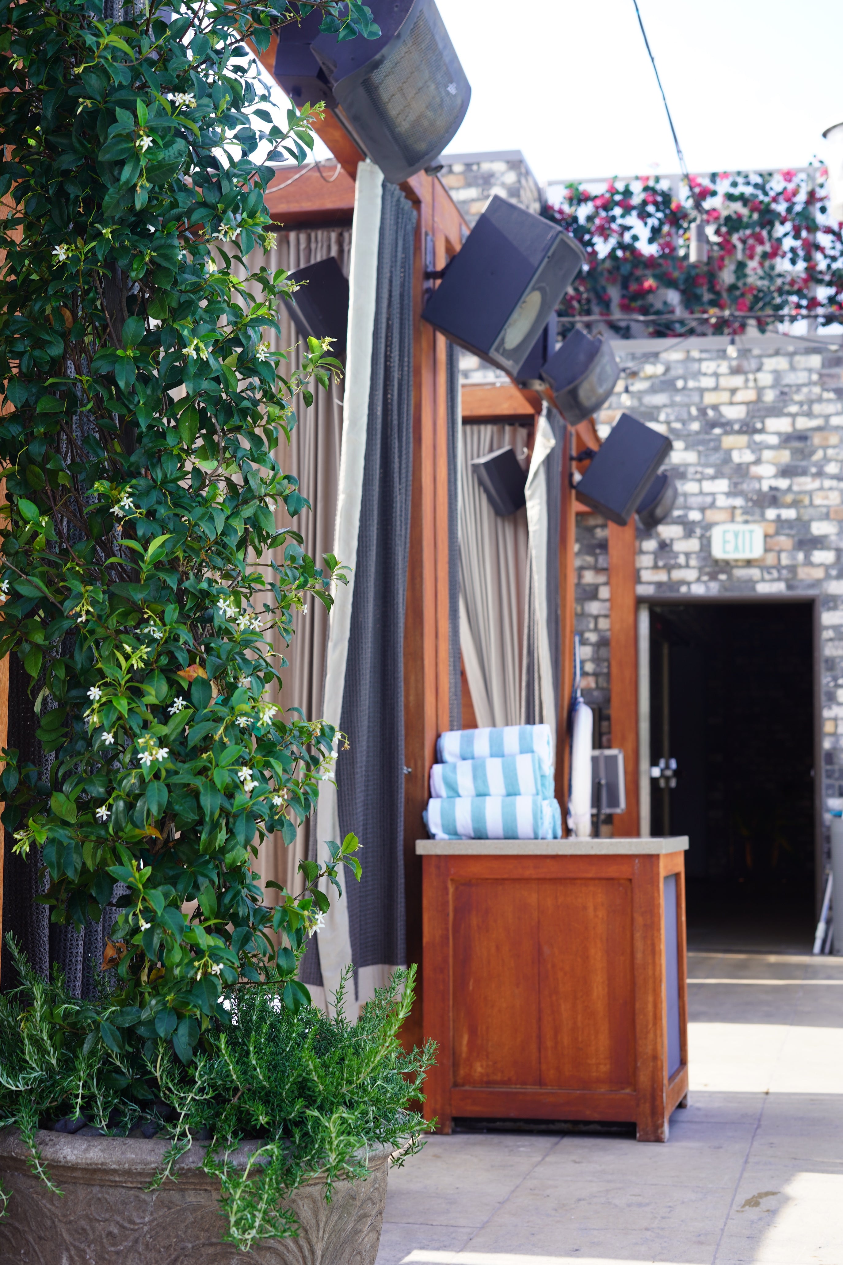 LANDSCAPE RENOVATION