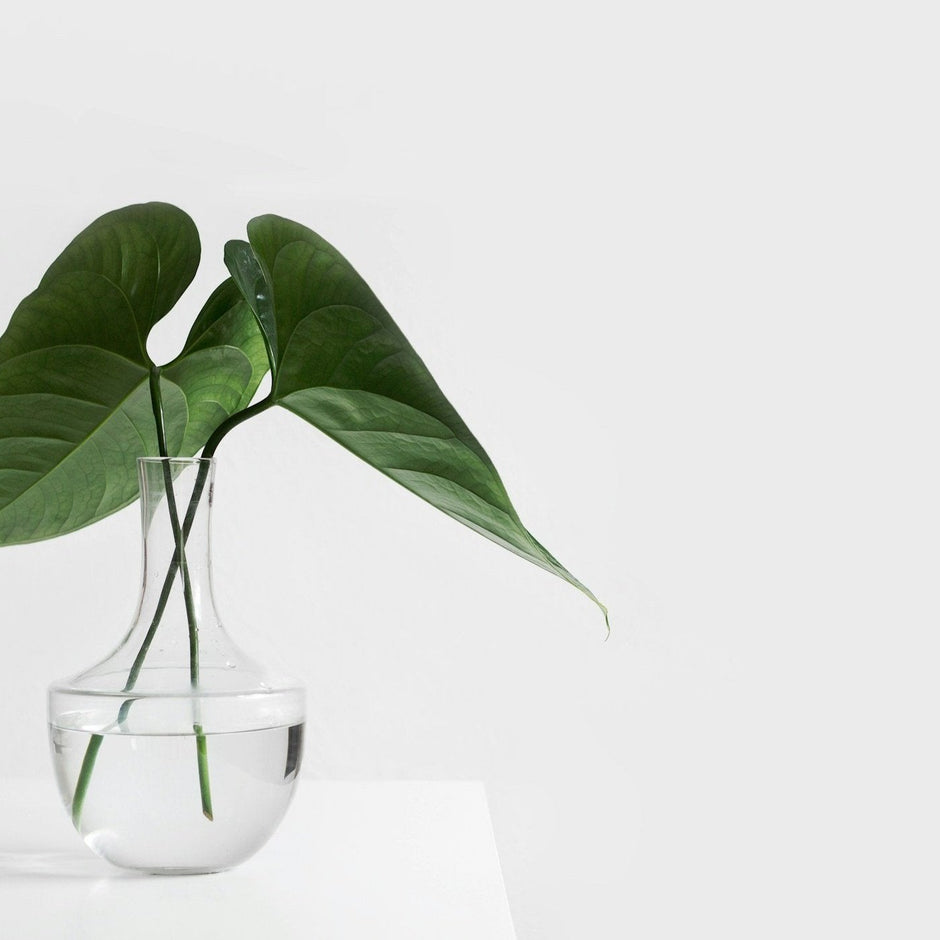 Propagation 101