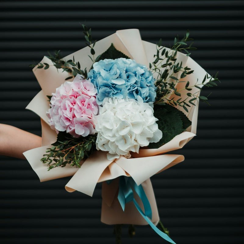 How to Make Your Cut Hydrangeas Last: Five Essential Tips